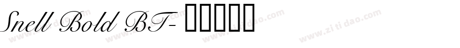 Snell Bold BT字体转换